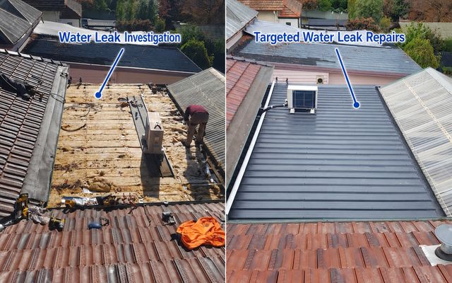 Water leak investigation and targeted repair