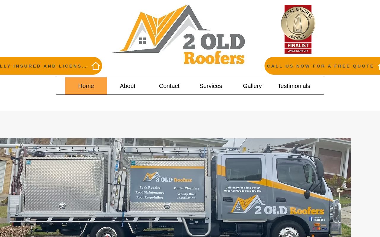 2 OLD ROOFERS website