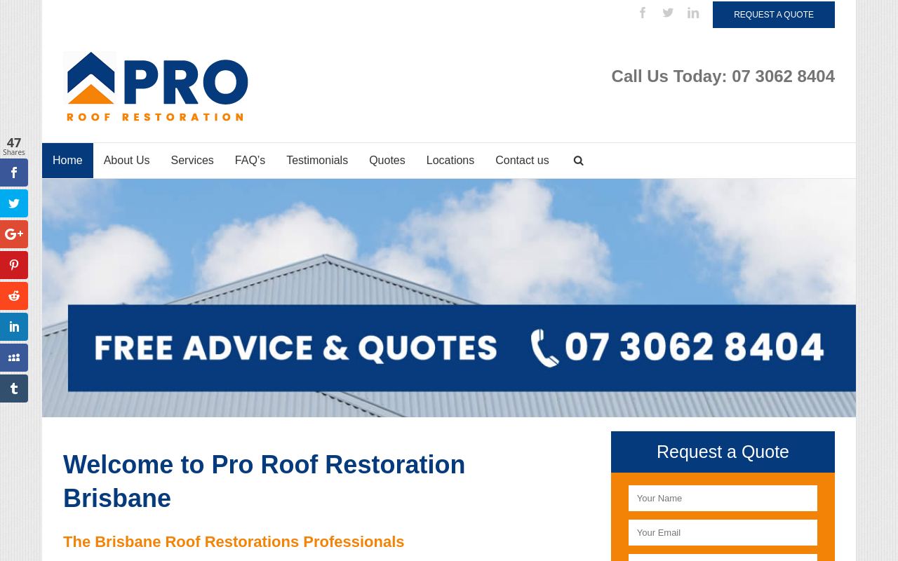 Pro Roof Restoration Brisbane website preview