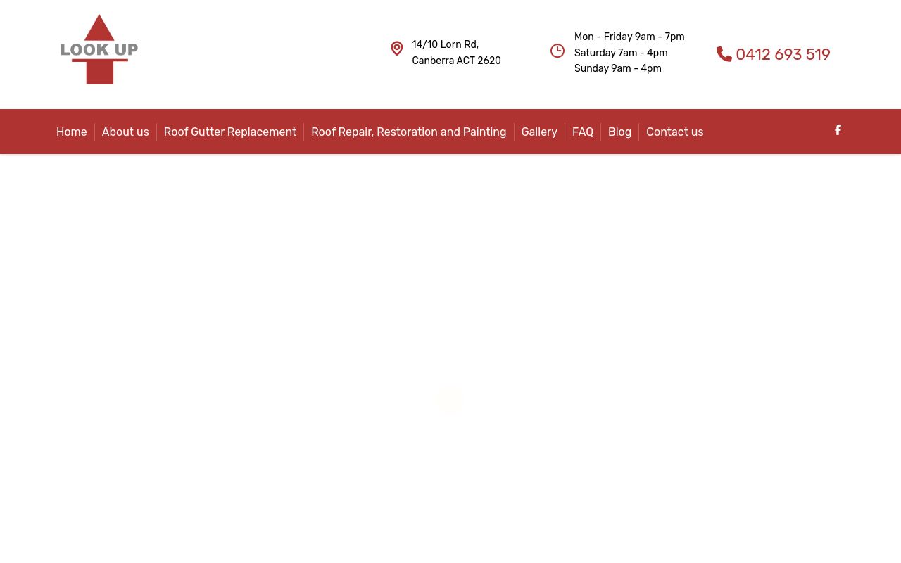 Lookup Roof website preview